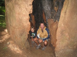 Redwood house: Jake and I take a seat inside an old redwood stump. 