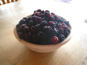 Blackberries!  Not sure which was the most fun... picking the berries, making the pie, or eating it.  