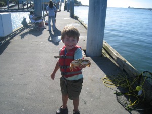No fear: Jake had no fear or hestitation when picking up the crabs despite their healthy sized and mean looking claws. 